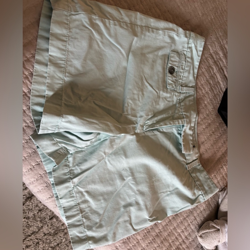 Ann Taylor Mint Green Signature Shorts